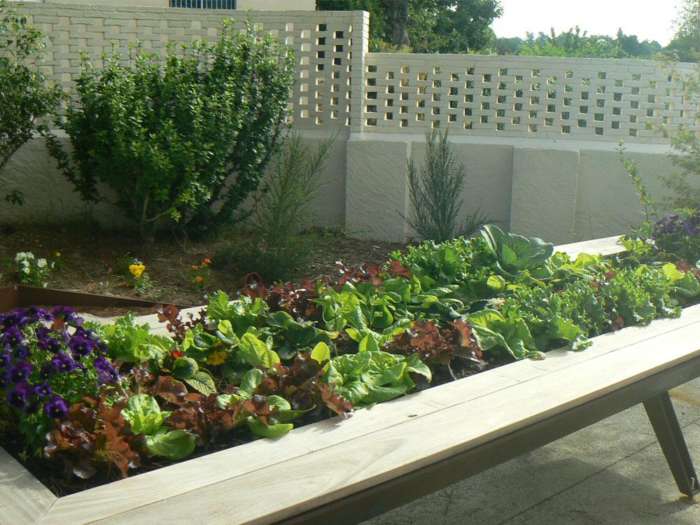 Le potager à hauteur